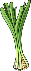 leek
