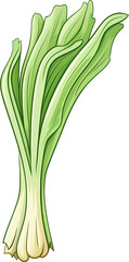 leek