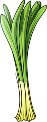 leek