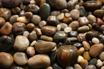 Collection of pretty polished rocks.