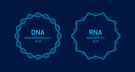 RNA Ribonucleic acid and DNA Deoxyribonucleic acid. Chromosome gene Adenine Guanine Cytosine Thymine Uracil. Genetic synthetic biology combined. Medical science vector.