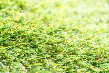 人工芝クローズアップ
