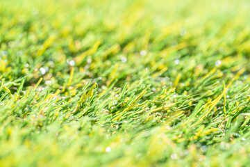 人工芝クローズアップ