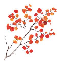 Autumnal Branch