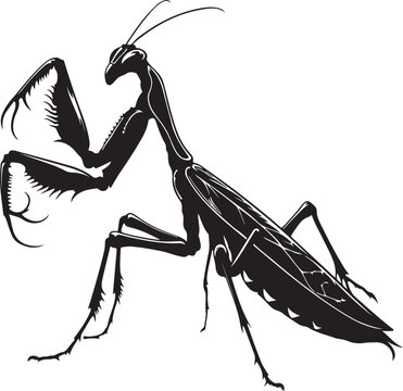 black praying mantis silhouette on white clip art preview
