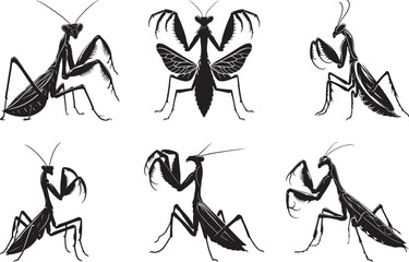 Mantis set silhouette vector illustration, Mantis isolated vector art