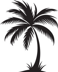 Palm Tree silhouette vector illustration design