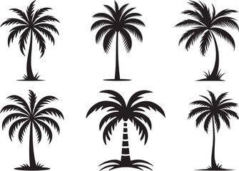 Palm Tree set silhouette vector illustration design