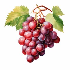 Fototapeta premium A vibrant bunch of red grapes with lush green leaves, showcasing their juicy texture and natural beauty.