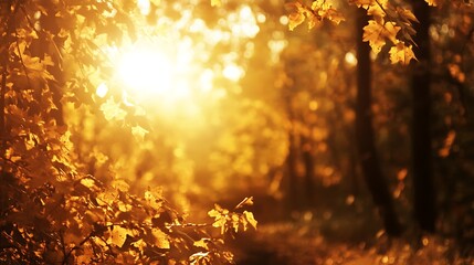 Golden Autumn Forest Sunlight. Concept of Fall, Nature, and Warmth.
