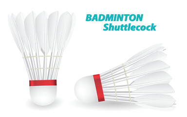 Set illustration of two badminton shuttlecocks, highlighting their design and structure. The shuttlecock, also known as a birdie, is used in badminton games and consists of a conical shape with