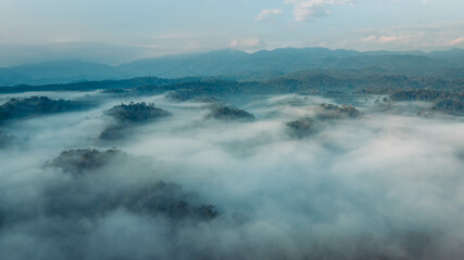 Obraz premium Aerial view of forest and morning fog in a tropical rainforest in Asia