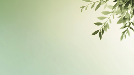 Fototapeta premium A horizontal image with green leaves framing the top right corner on a soft green background.