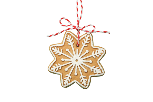 PNG, Christmas cookies, a set of cookies of different shapes, isolated on a white background.