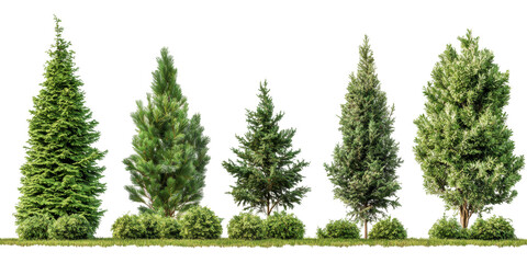 Fototapeta premium Lush green trees on mockup with transparency png for creative projects