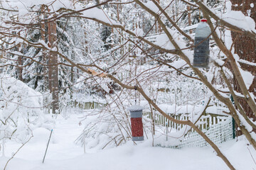 Winter garden scene with snow-covered branches, a homemade bird feeder, and white picket fence. The tranquil setting emphasizes the harmony of nature and wildlife care during wintertime.