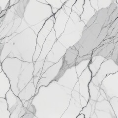 Minimalist White and Grey Marble