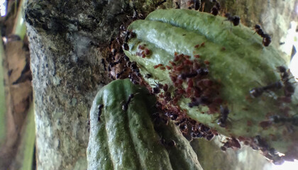 water flowing from a fountain