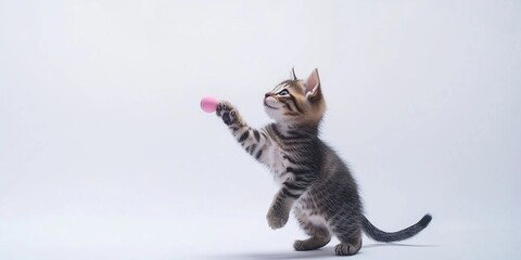 Playful ginger kitten chasing red ball on white background