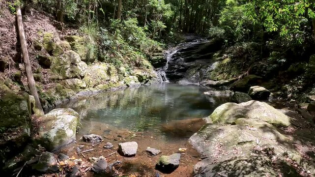 Kondalilla Falls Waterfall in the Lush Rainforest of Sunshine Coast Hinterland, Queensland &ndash; Hiking in Kondalilla National Park