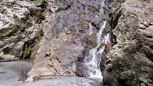 Kondalilla Falls Waterfall in the Lush Rainforest of Sunshine Coast Hinterland, Queensland &ndash; Hiking in Kondalilla National Park