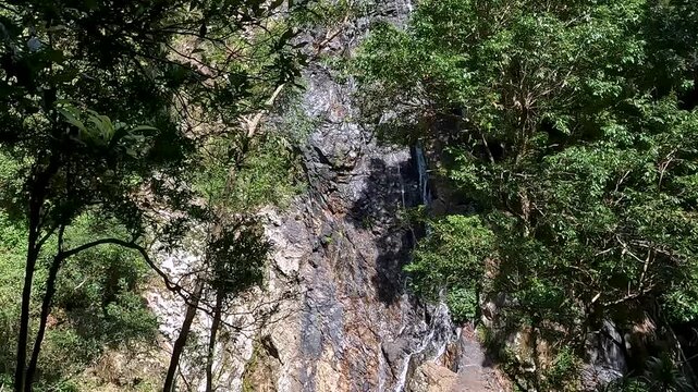 Kondalilla Falls Waterfall in the Lush Rainforest of Sunshine Coast Hinterland, Queensland &ndash; Hiking in Kondalilla National Park
