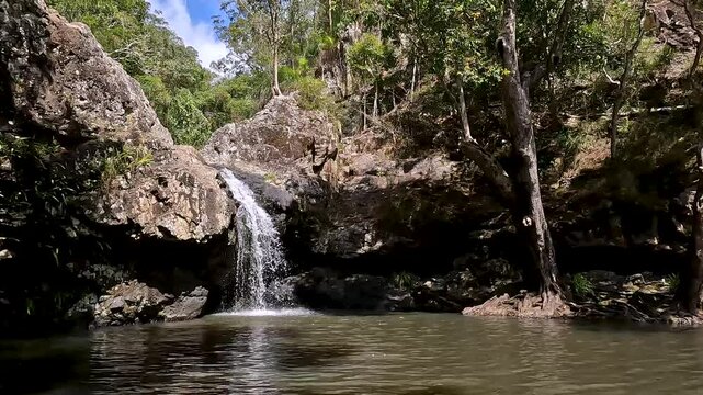 Kondalilla Falls Waterfall in the Lush Rainforest of Sunshine Coast Hinterland, Queensland &ndash; Hiking in Kondalilla National Park