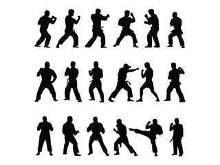 various dynamic poses, such as fighting stances, punching, kicking, and defensive positions