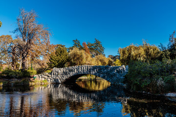 Obraz premium A bridge spans a river with a view of trees in the background