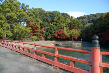 Fototapeta premium 宇治観光 観流橋と紅葉 京都府宇治市