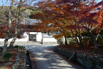 興聖寺　参道の紅葉　京都府宇治市