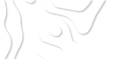 Vector minimal light element shadow landscape wave element curve graphic papercut design. Background with lines Modern black and white carve wave line abstract luxury papercut background.