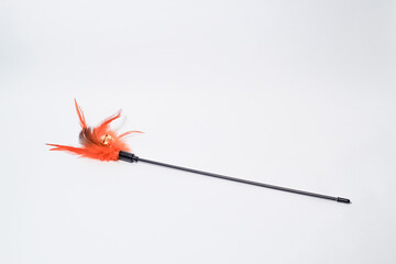 Cat toys with a bell and orange feather on isolated white background