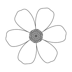 Flower Sketch 