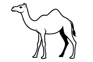 Black Silhouette of a Camel - Vector Illustration Isolated on White