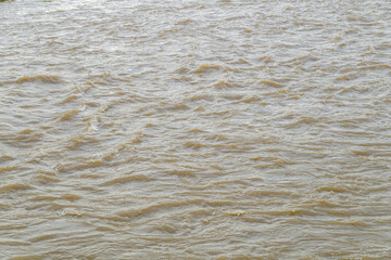 The background of the river water is murky brown