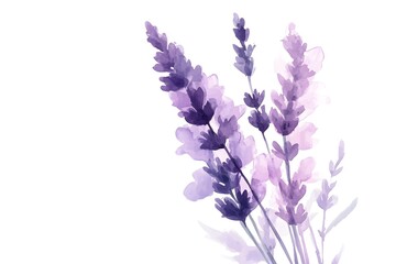 Naklejka premium Flowers on a cream-colored background Set of different beautiful flowers on white background. Banner design. Generative AI 