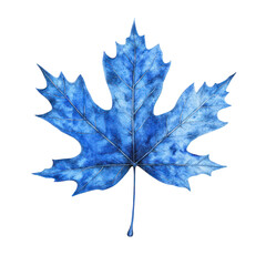 Naklejka premium Blue Maple Leaf on Transparent Background