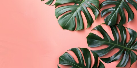 Fototapeta premium Tropical Leaves on Coral Background