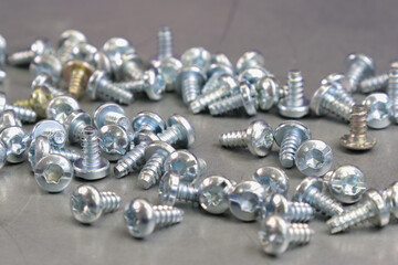 Silver-colored metal screws on a metal surface. Soft focus. Close-up. Macro.