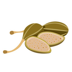 Pickled Capers Fruit Illustration Isolated on White Background