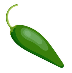 Green Jalapeño Pepper Vegetable Illustration Isolated on White Background