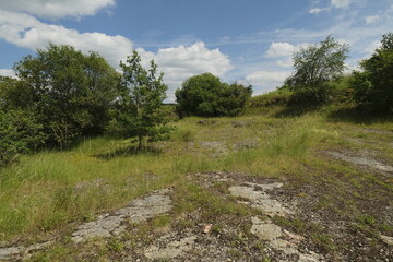 Alter Steinbruch an der Wern bei Pfersdorf, Gemeinde Poppenhausen, Landkreis Schweinfurt, Unterfranken, Bayern, Deutschland