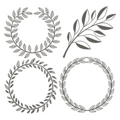 Floral wreath collection. Set of laurel wreath element