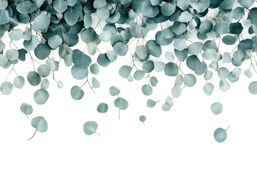 Abstract eucalyptus leaves in soft teal and gray tones, scattered in an airy, flowing arrangement on a white backdrop, high definition background, mock up wallpaper