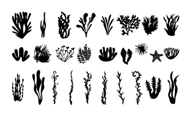 corals and algae large vector silhouette set illustration