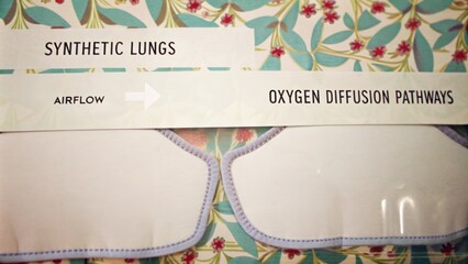 A schematic diagram detailing the process of creating synthetic lungs featuring airflow simulations and oxygen diffusion pathways emphasizing scientific advancement.