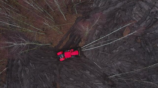 Aerial View of Forest Mulcher Clearing Trees