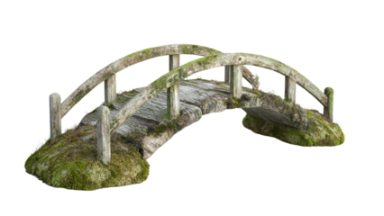 Old Wooden Bridge Surrounded by Moss and Grass, Overgrown Nature Pathway, Rustic Landscape in Tranquil Outdoor Setting