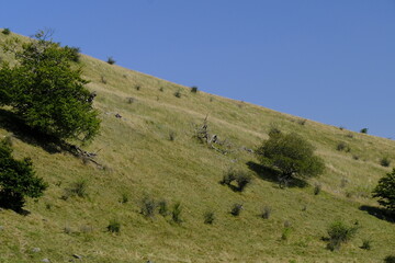 Obraz premium Landschaft am Himmeldunkberg im Bioshärenreservat Rhön zwischen Hessischer Rhön und Bayerischer Rhön, Deutschland